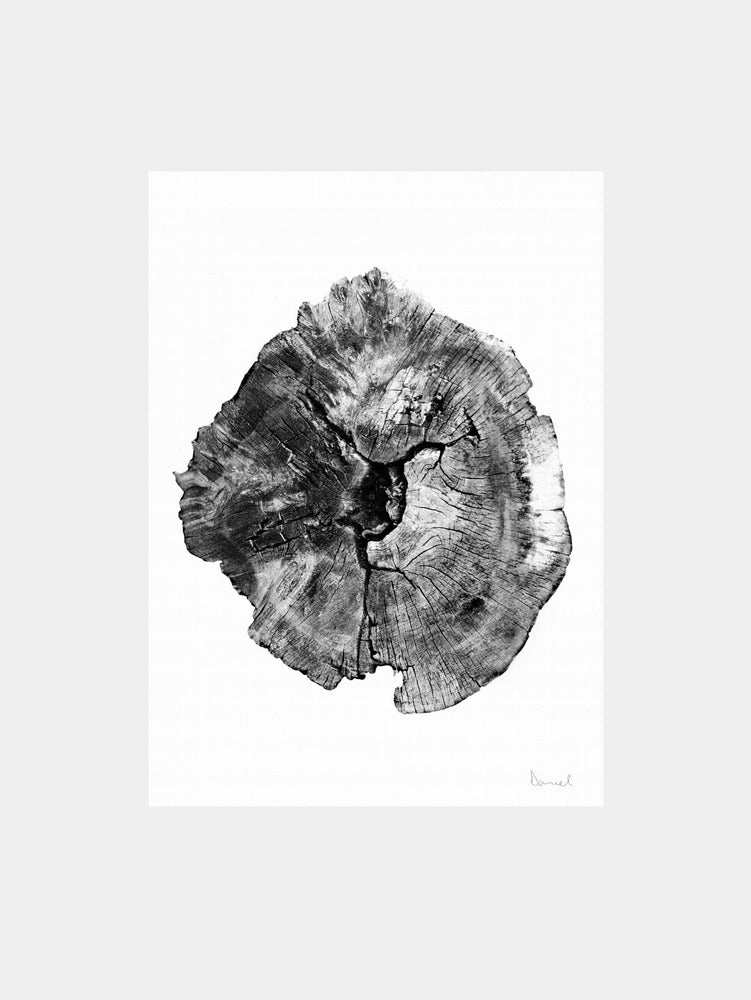Oak Log Art Print