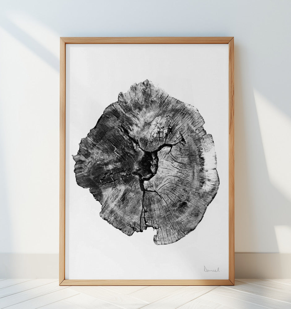 Oak Log Art Print