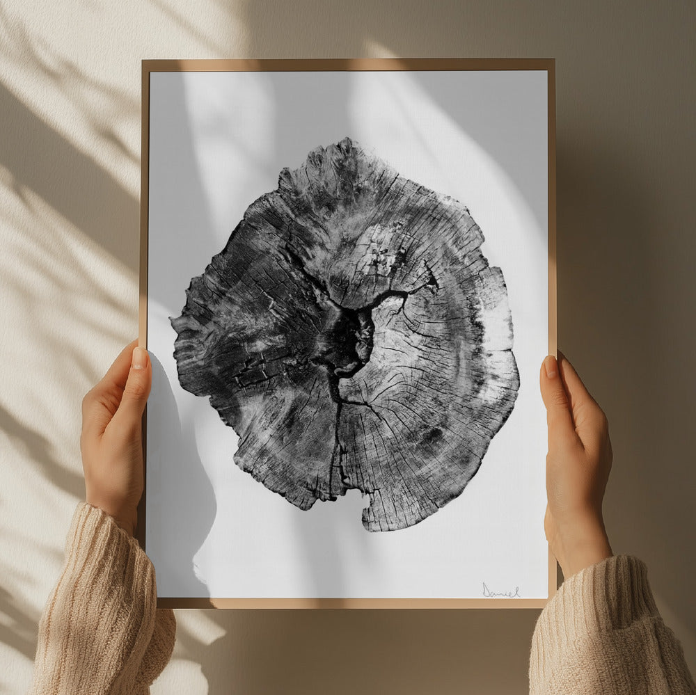 Oak Log Art Print