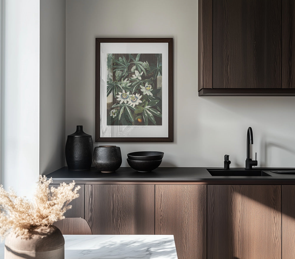The Passiflora Cerulea from The Temple of Flora Art Print