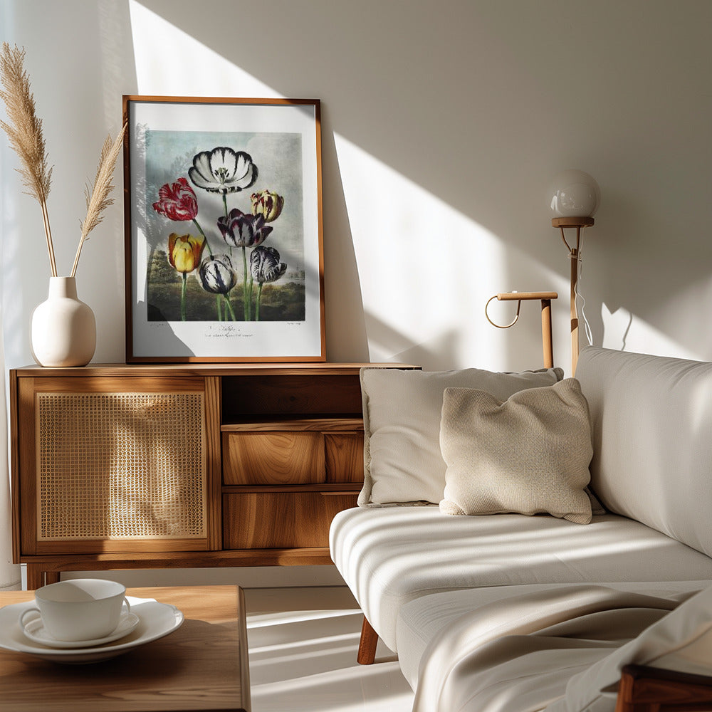 Tulips from The Temple of Flora Art Print