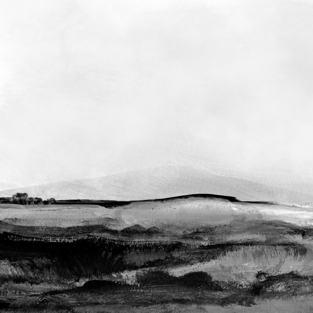 Mono Landscape No1