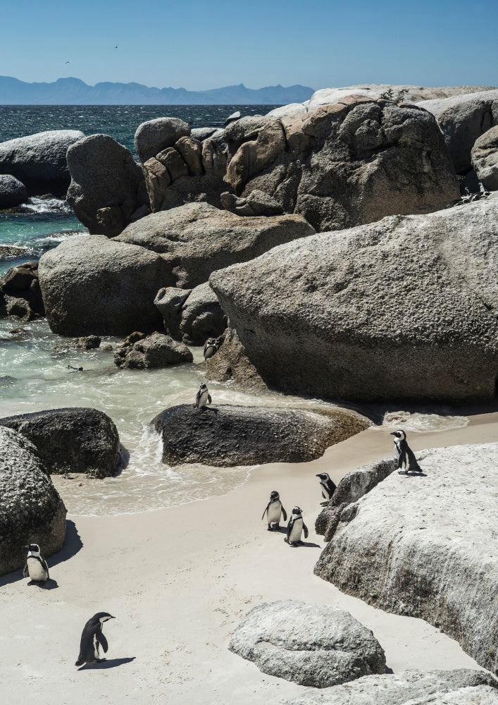 Boulders Beach