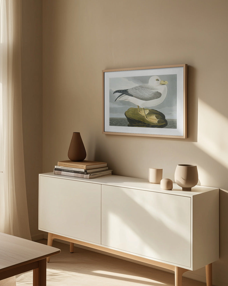 Fulmar Petrel From Birds of America (1827) Art Print