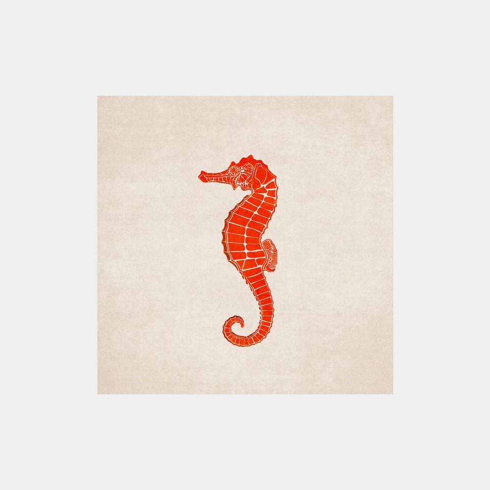 Crimson Seahorse Art Print
