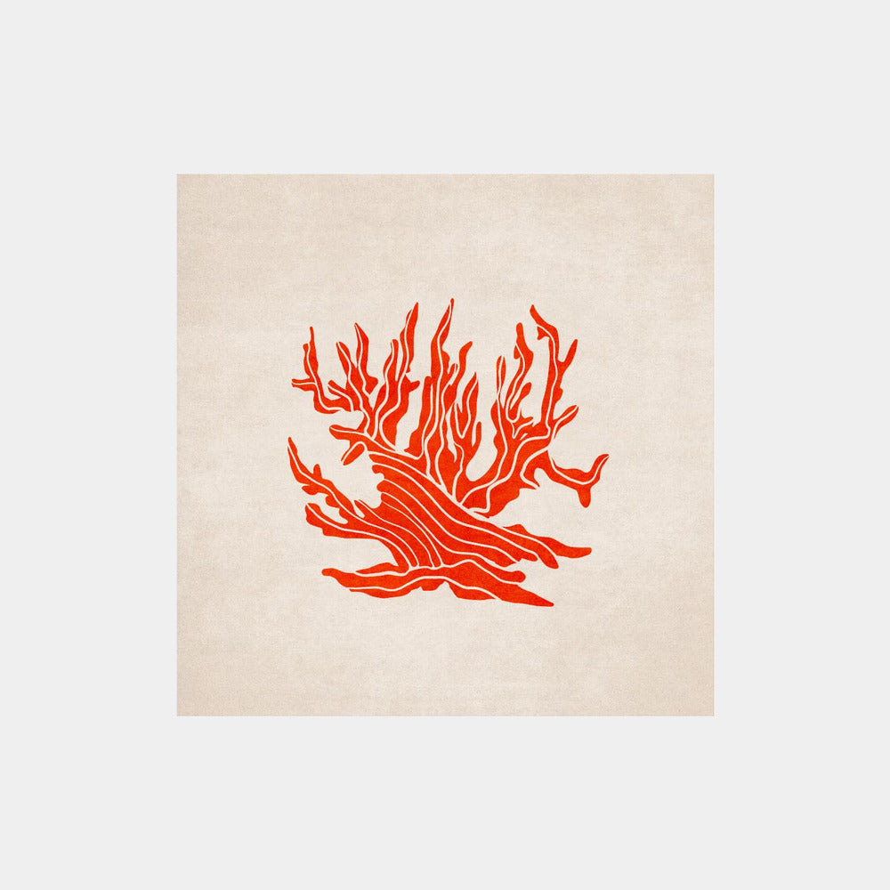 Fiery Coral Bloom