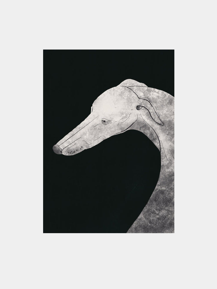 Greyhound black and white II Art Print
