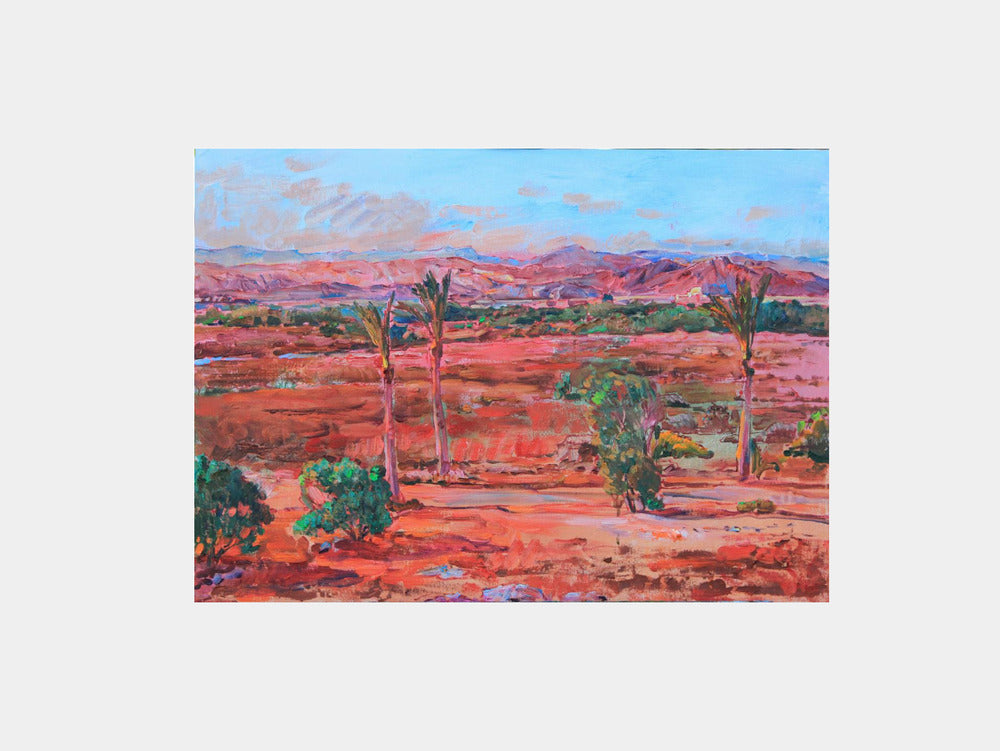 Desert Palm Vista