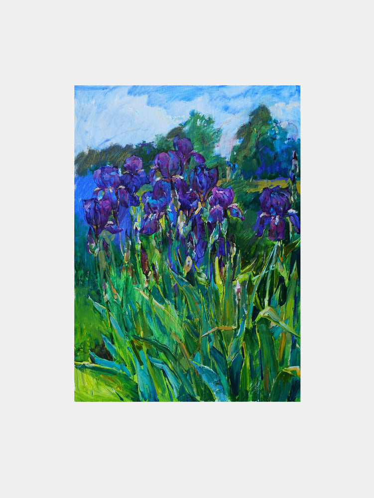 Purple Iris Garden