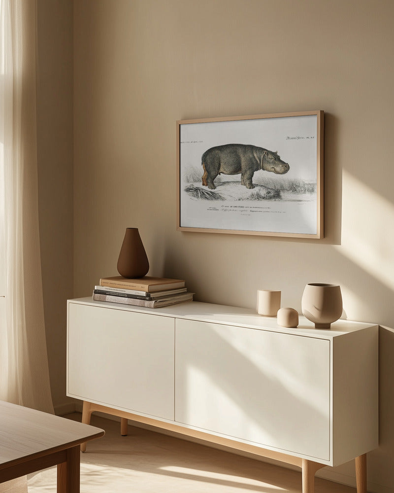 Hippopotamus Art Print