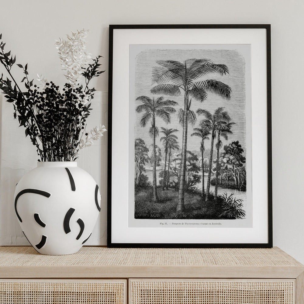 Vintage Palm Tree Drawing Ii Art Print