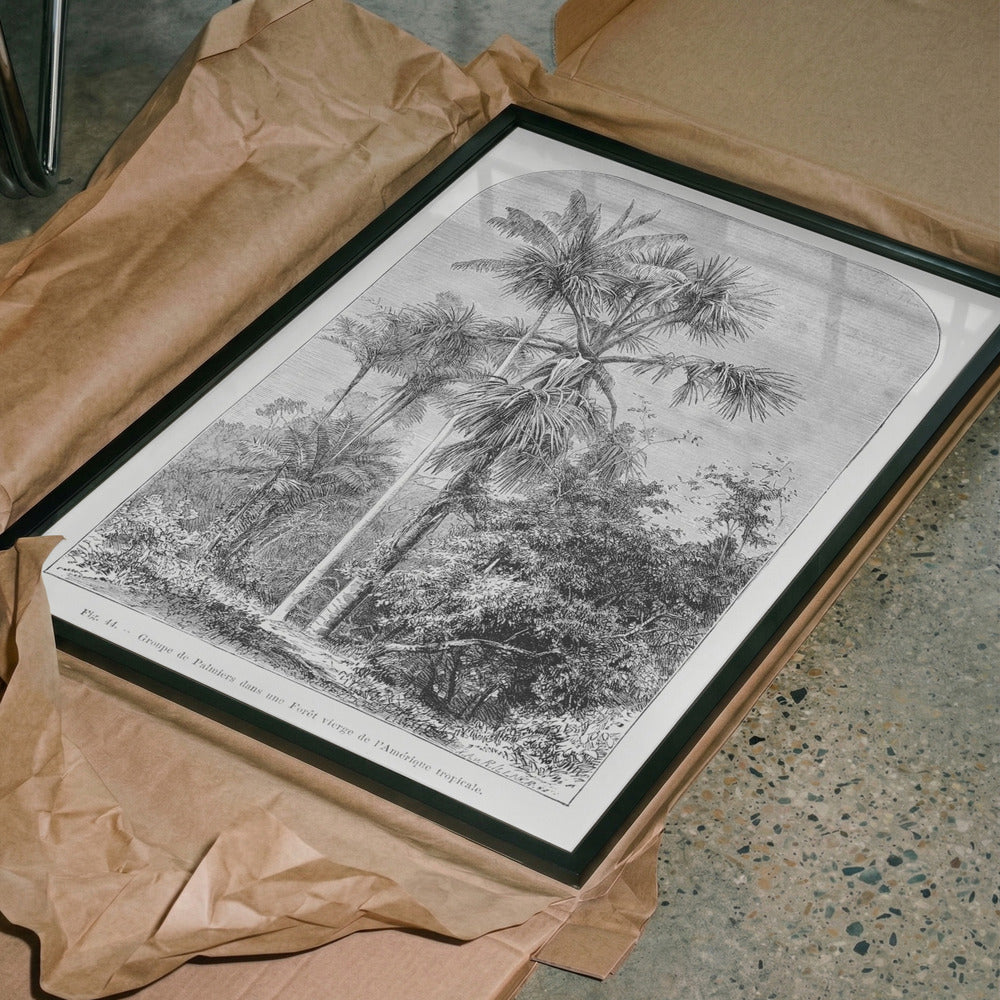 Vintage Palm Tree Drawing IV