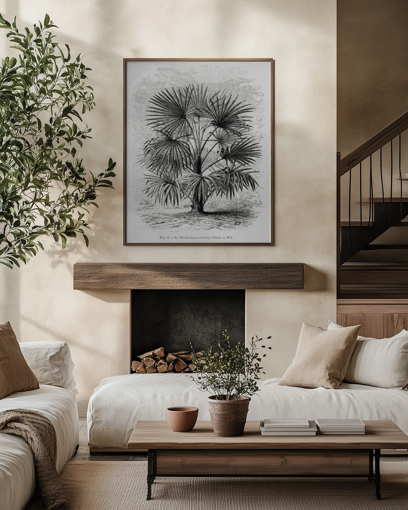 Vintage Palm Tree Drawing Xi  Art Print