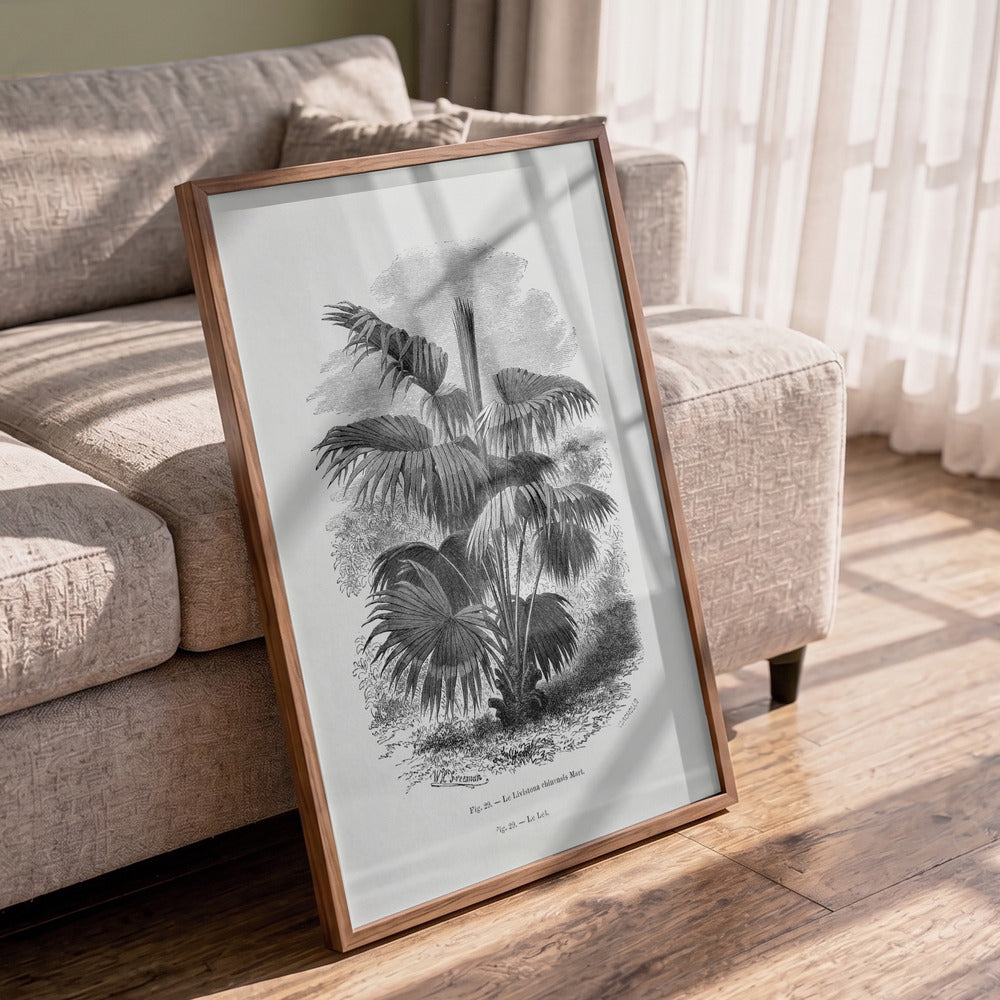 Vintage Palm Tree Drawing XII