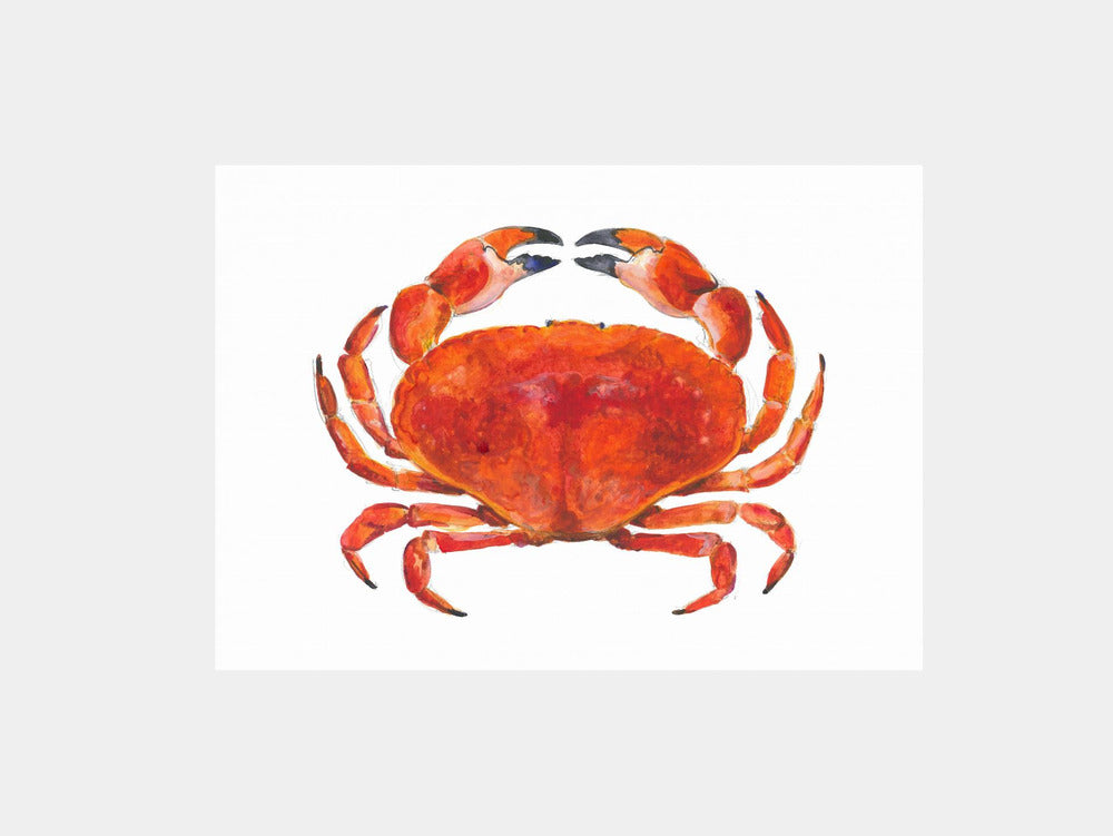 Realistic Red Crab Art Print