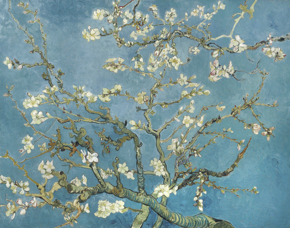 Van Gogh "Vincent Van Gogh's Almond Blossom (1890)"