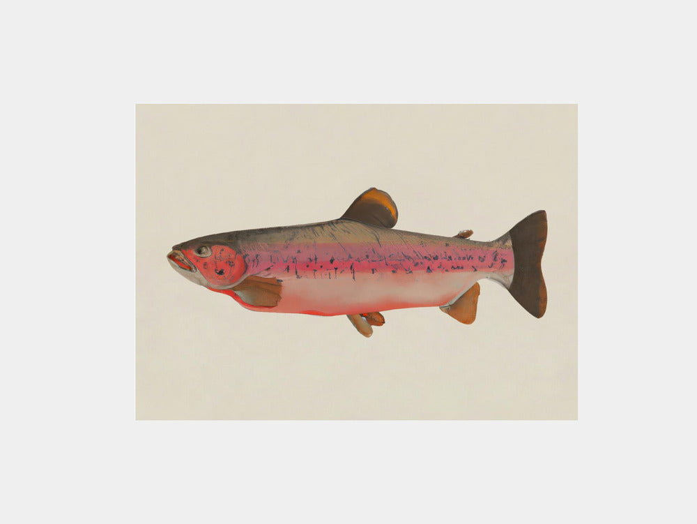 Fishy Art Print