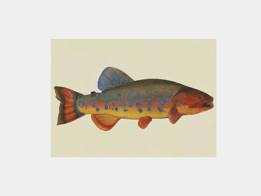 Radiant Reef Art Print