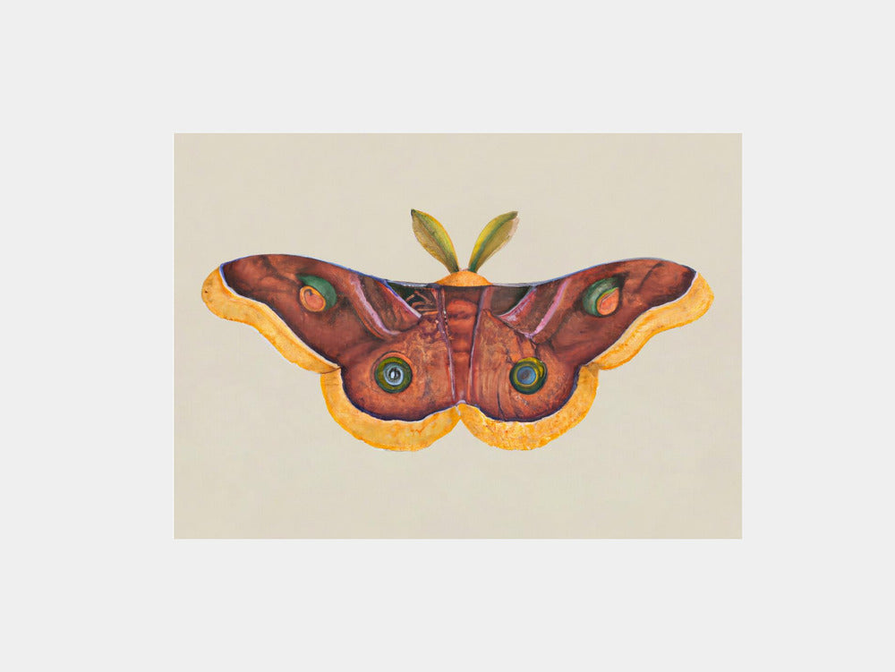Butterfly Effect Art Print