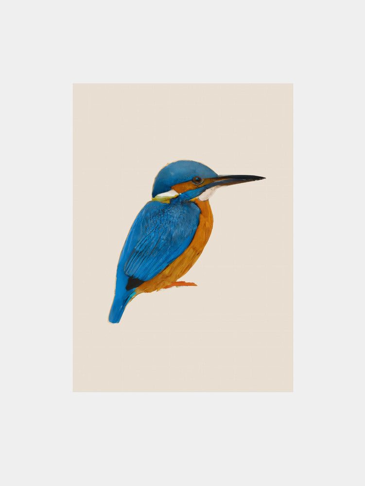 Rainforest Rebel Art Print