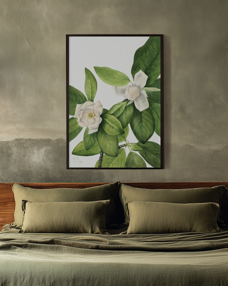 Sweetbay 1927 Art Print
