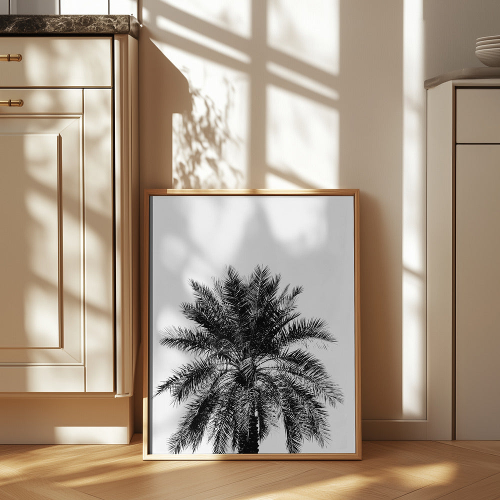Palm Tree in black and white Art Print