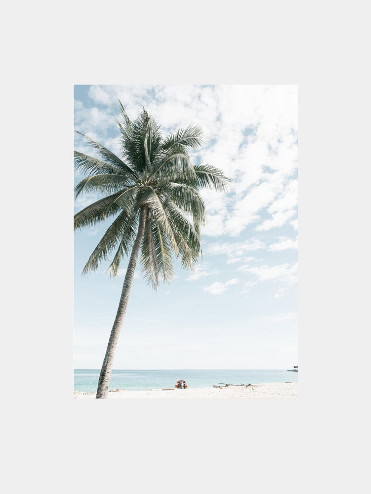 Palm Tree at the Beach II Art Print