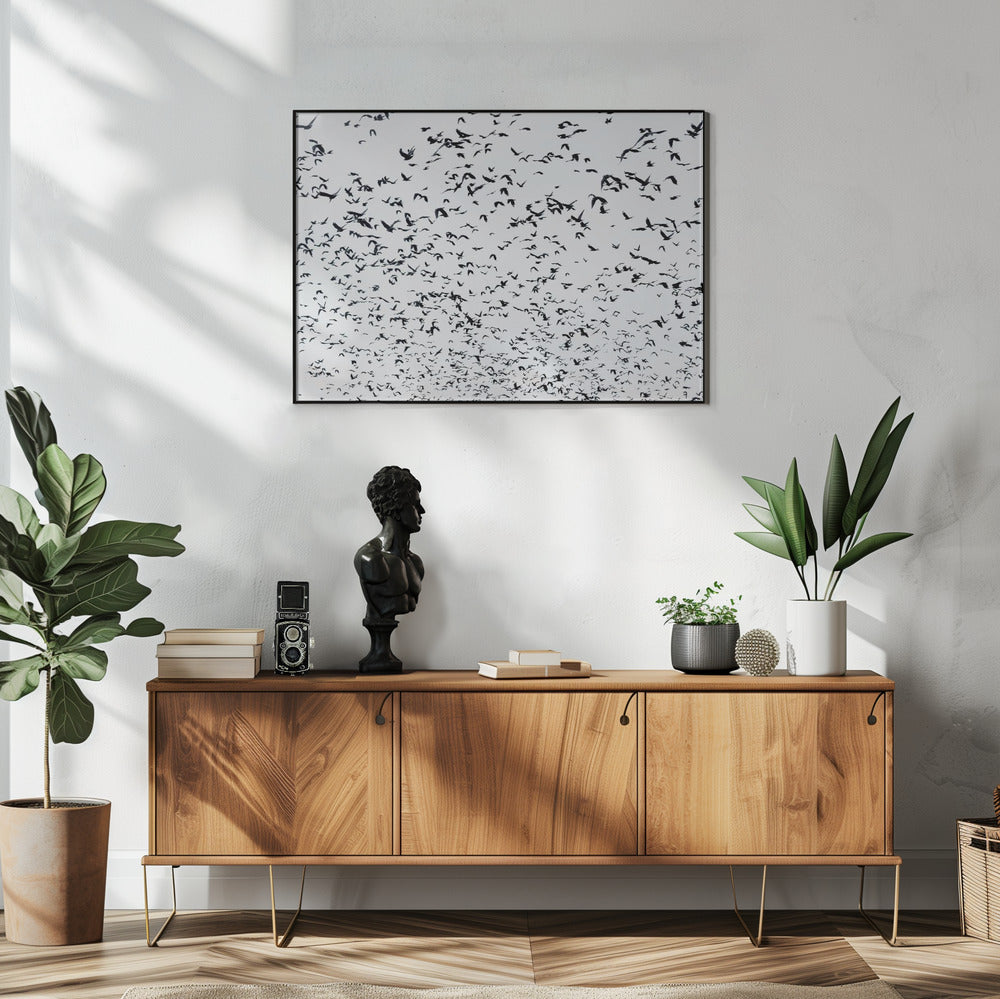 Birds in the sky Art Print