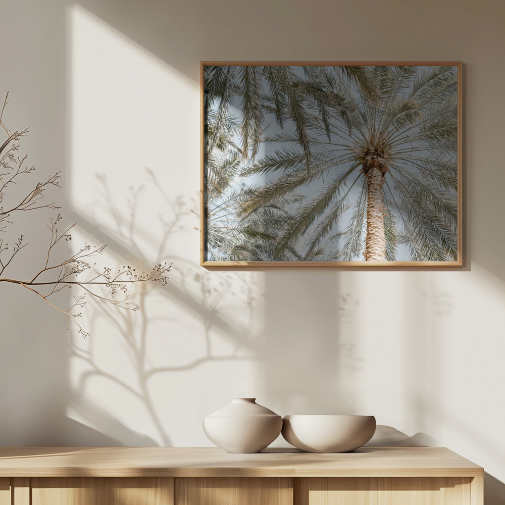 Palm Trees with blue sky Art Print