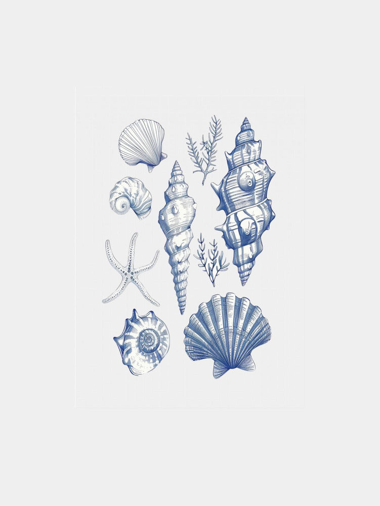 Blue Nautical Shells