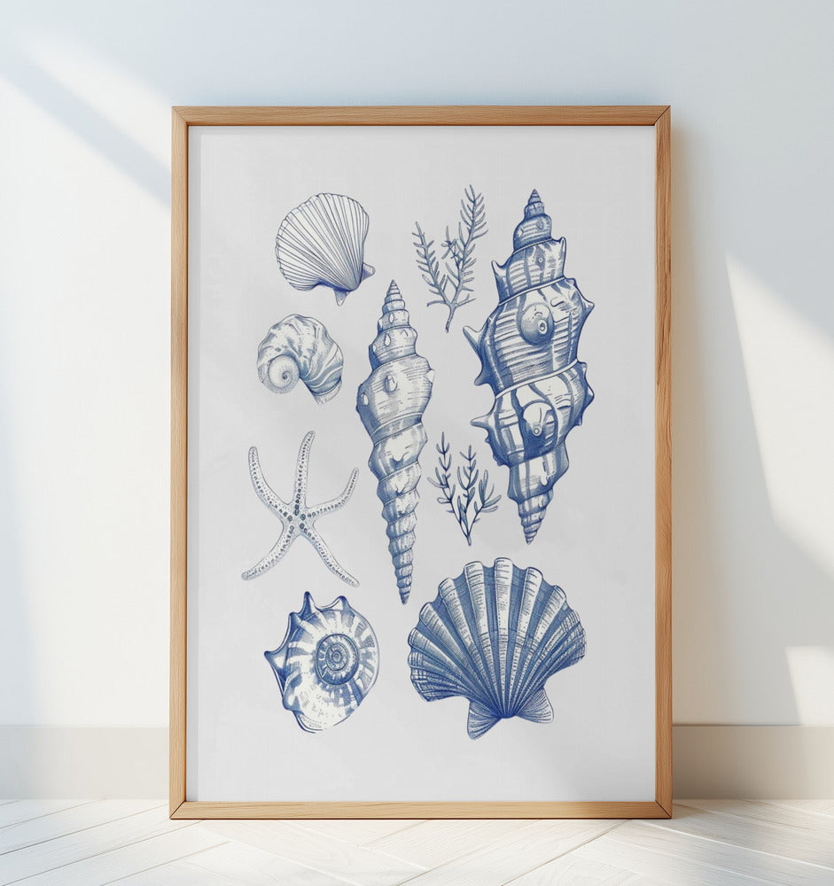 Blue Nautical Shells