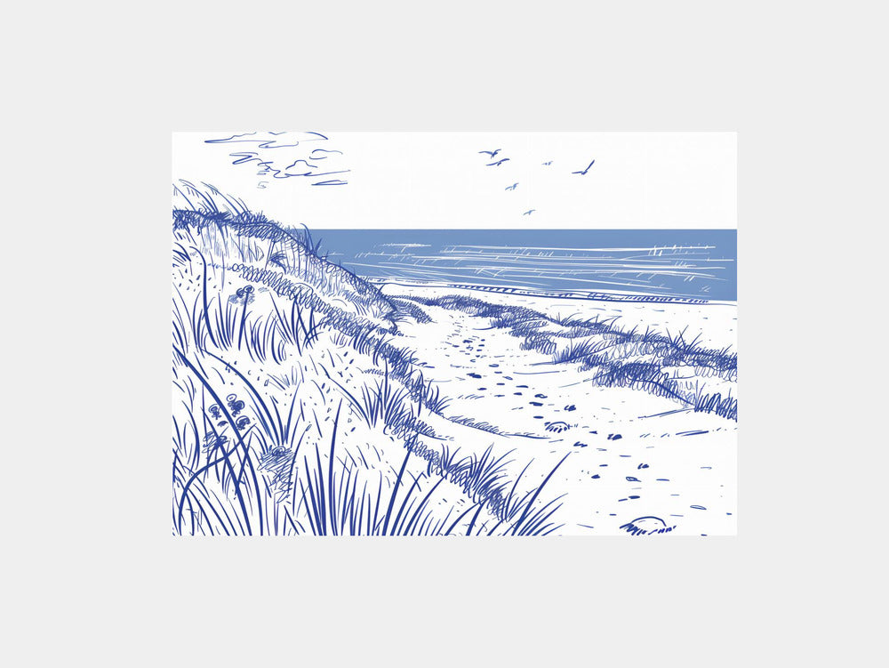 Coastal Dune Path