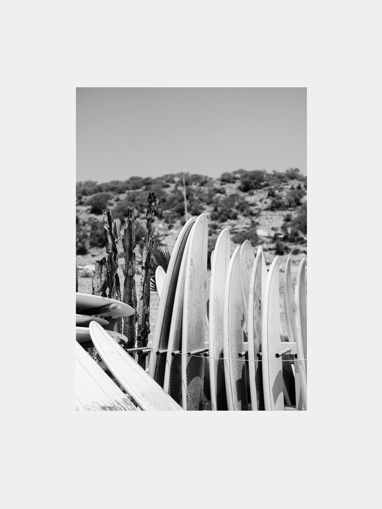 Surfboards in Black and White Art Print