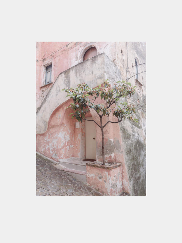 Pink house Art Print