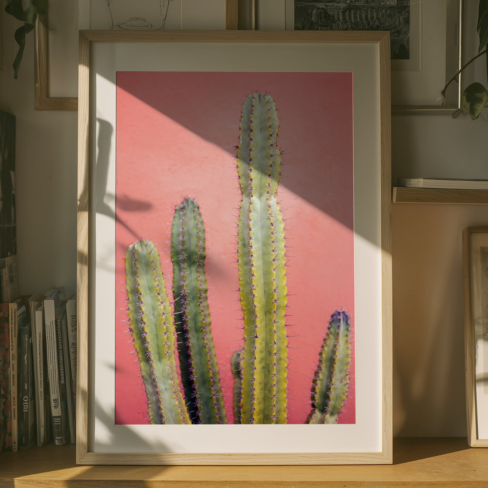 Pretty Pink Cactus Marrakech Art Print