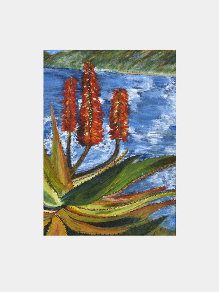 Aloes Art Print