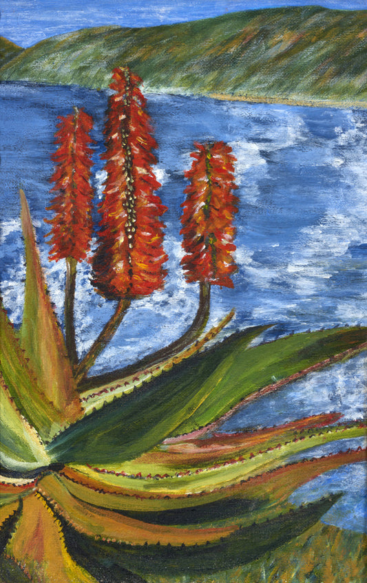 Aloes