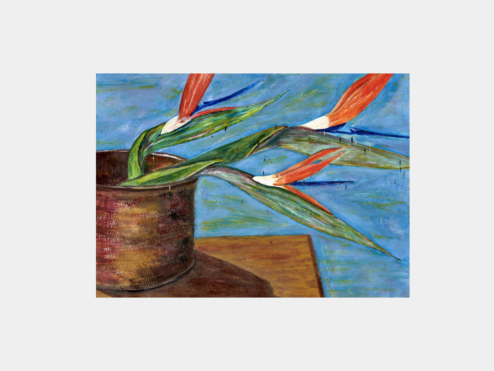 Strelitzia Art Print