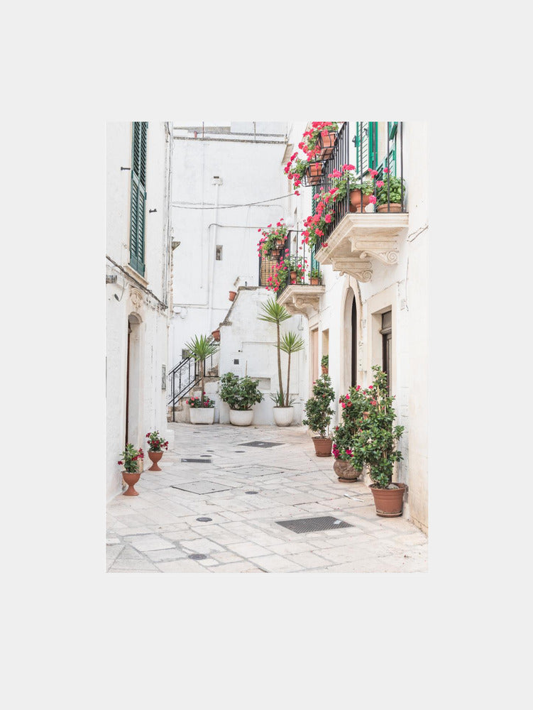 Flowers and plants in Locorotondo Art Print