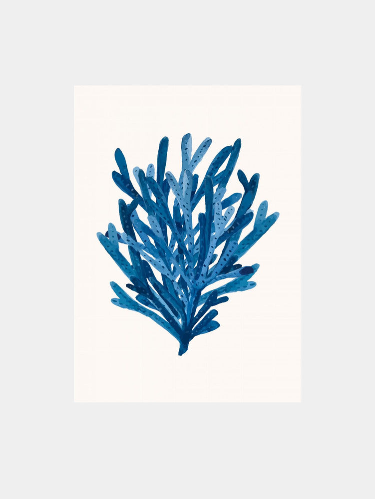 Deep Blue Coral