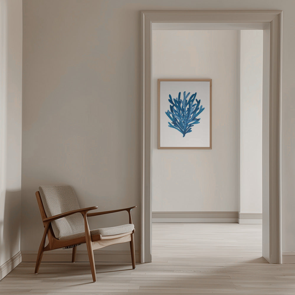Deep Blue Coral