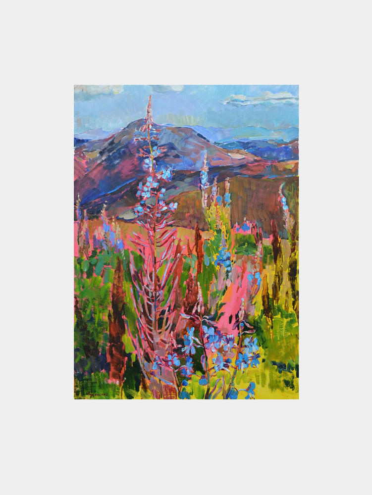 Vibrant Mountain Flowers