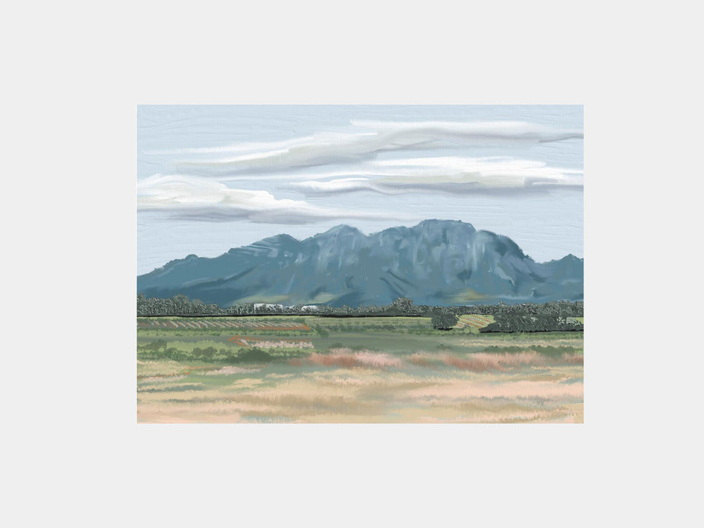 Veiled In Shadows, Rooted in Vines, Stellenbosch Art Print