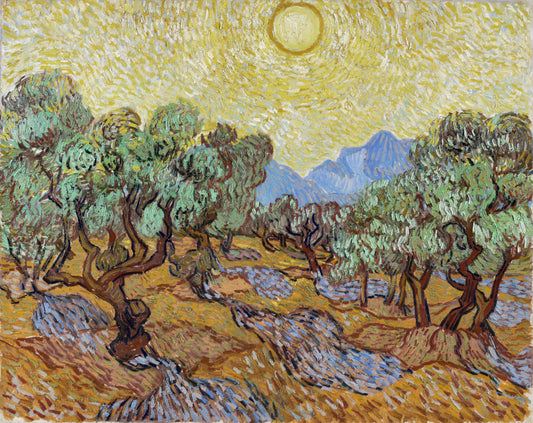 Van Gogh "Vincent Van Gogh's Olive Trees"