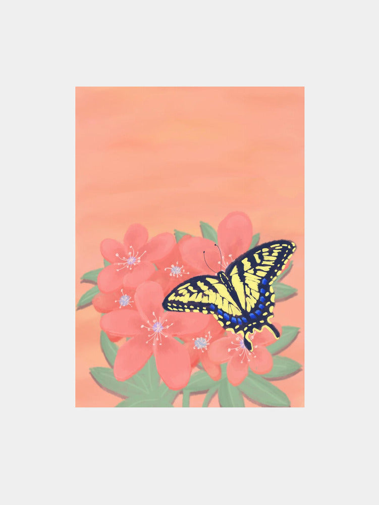 Tiger Swalowtail Butterfly Art Print