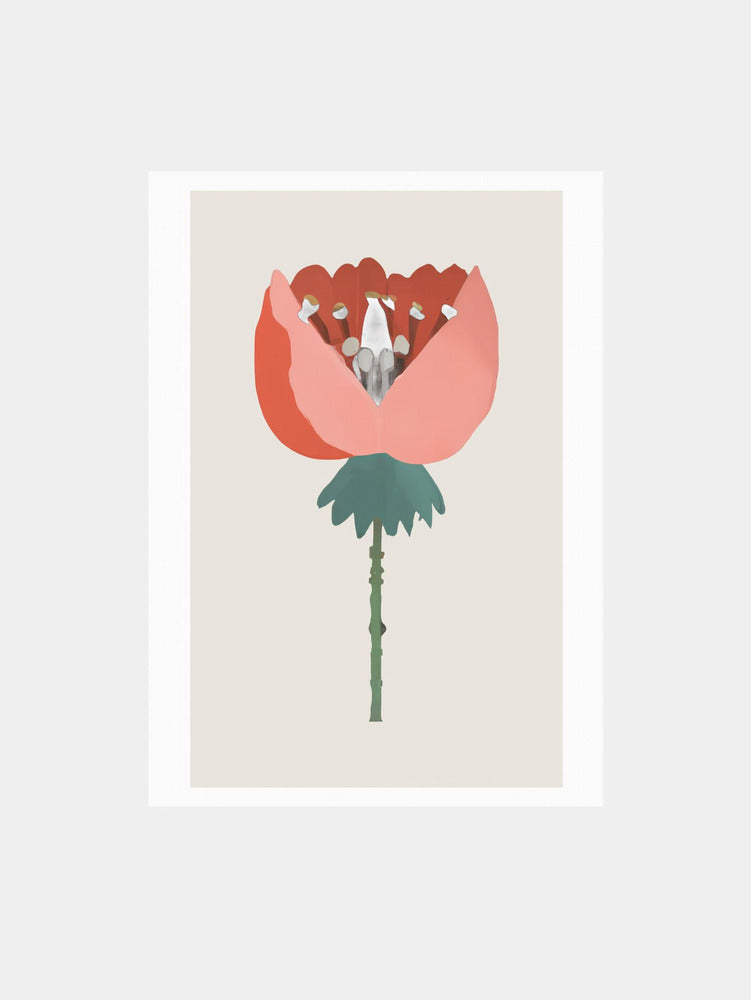 Coral Grace Art Print