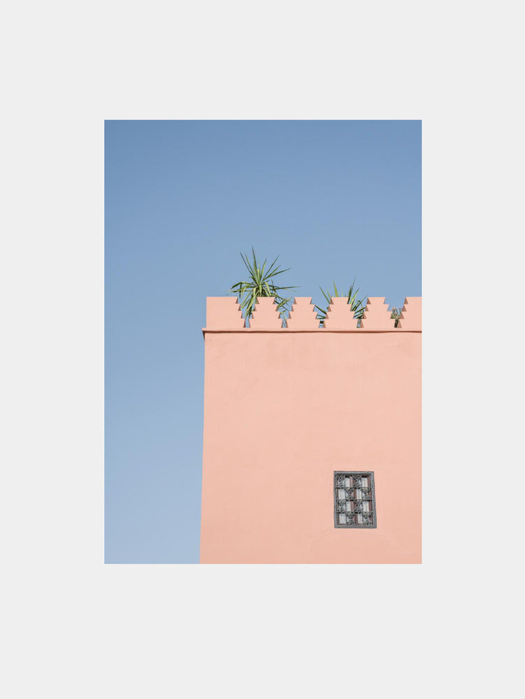 Wall Window, Plant in Marrakesh Art Print