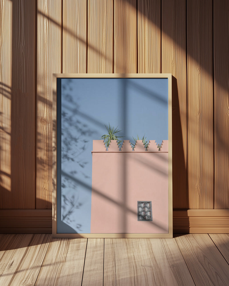 Wall Window, Plant in Marrakesh Art Print