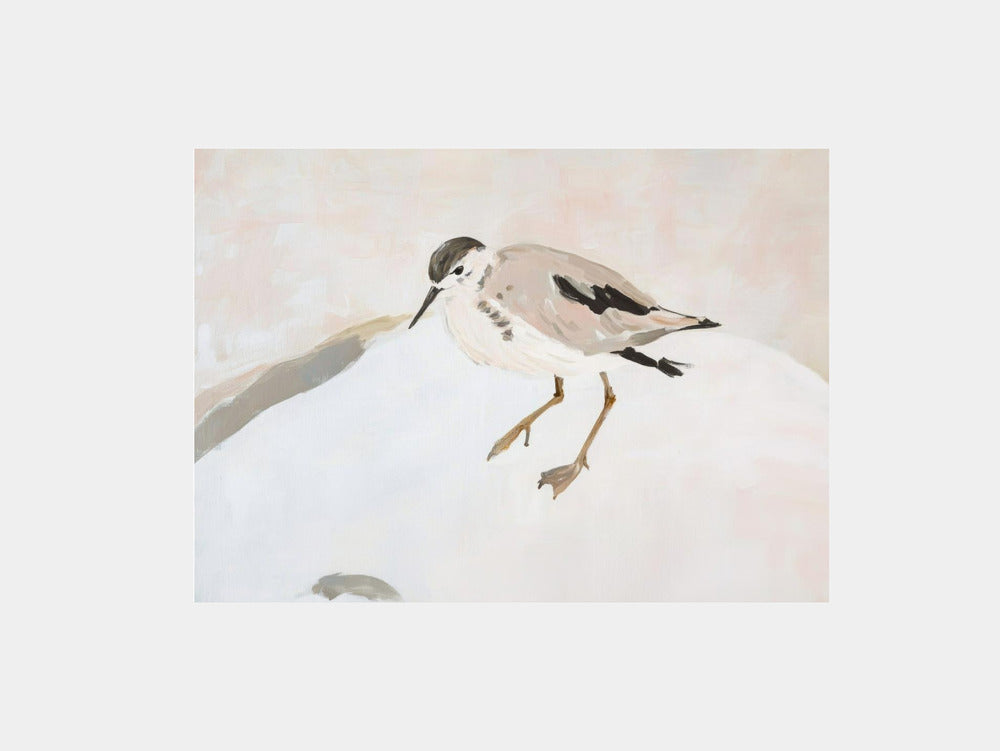 Cute Shorebird Art Print
