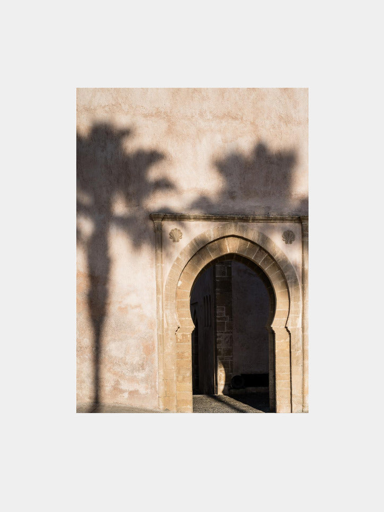 Shadow of a palm tree in Morocco Art Print
